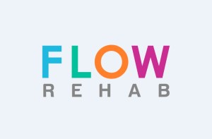 Flow Logo